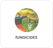 Fungicides