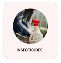 Insecticides