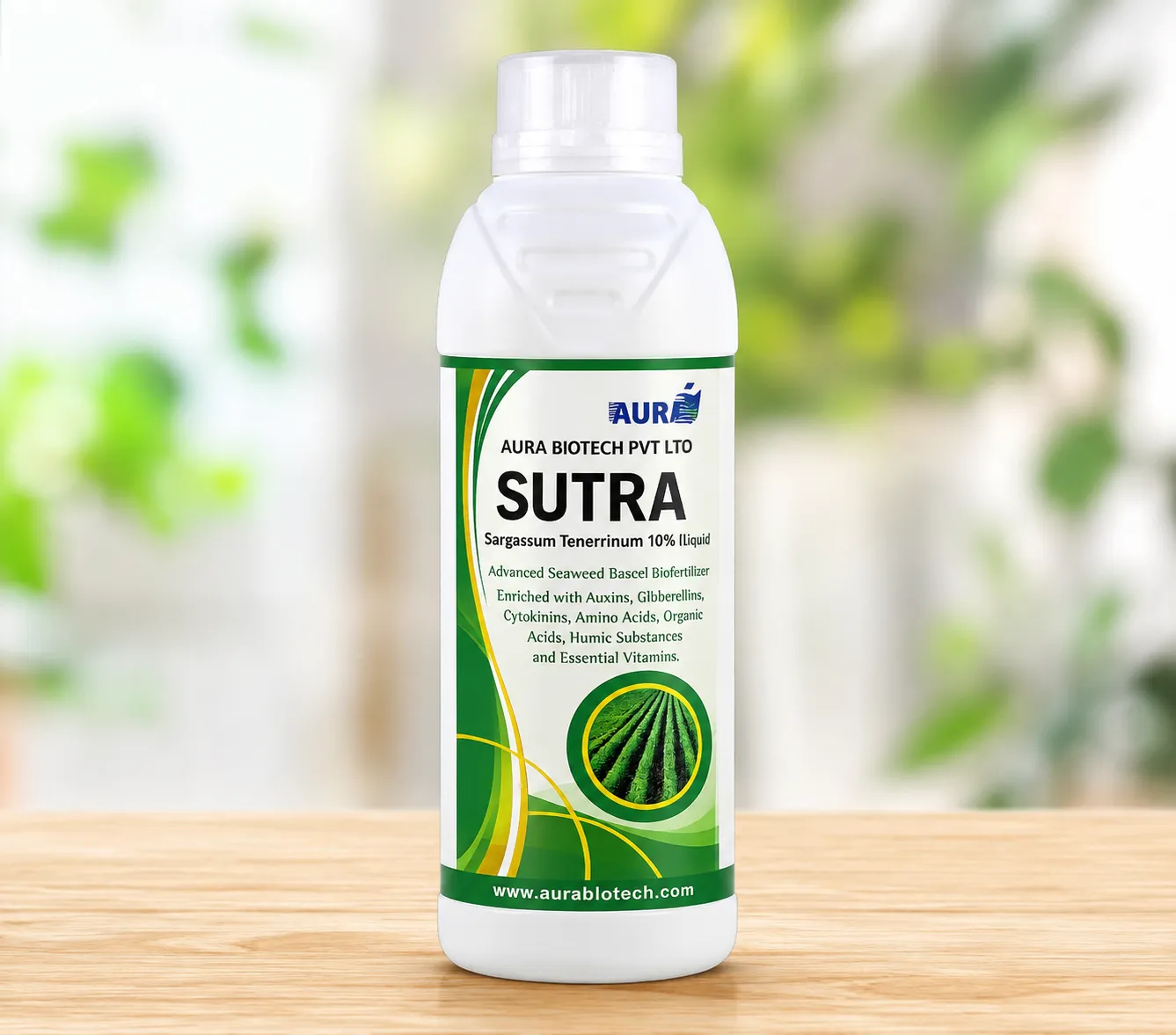 Sutra