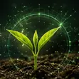 ECO Grade Biostimulants