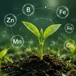  Micro Nutrients