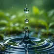 Water Soluble Fertilizers